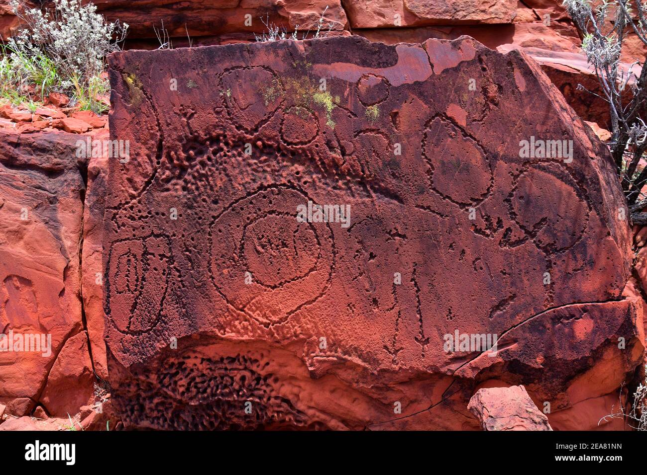 Australien, prähistorische Felsgraburen der Aborigenes dans Ewaninga nahe Alice Springs dans Nordastralien . Australie, territoire du Nord, conservation publique d'Ewaninga Banque D'Images