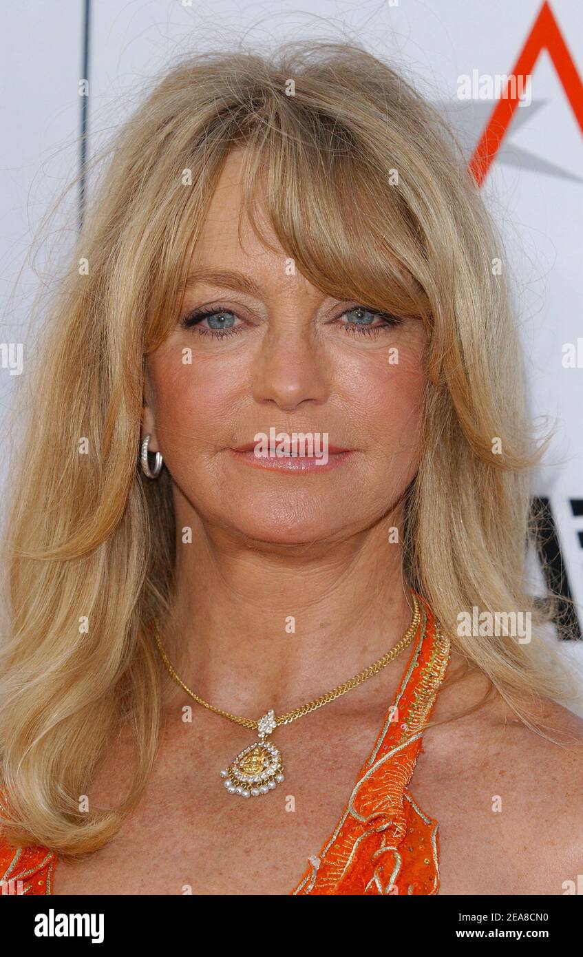 Goldie Hawn participe au 32e prix de réalisation de la vie de l'AFI en hommage à Meryl Streep au Kodak Theatre à Hollywood. Los Angeles, le 10 juin 2004. (Photo : Goldie Hawn). Photo de Lionel Hahn/Abaca. Banque D'Images