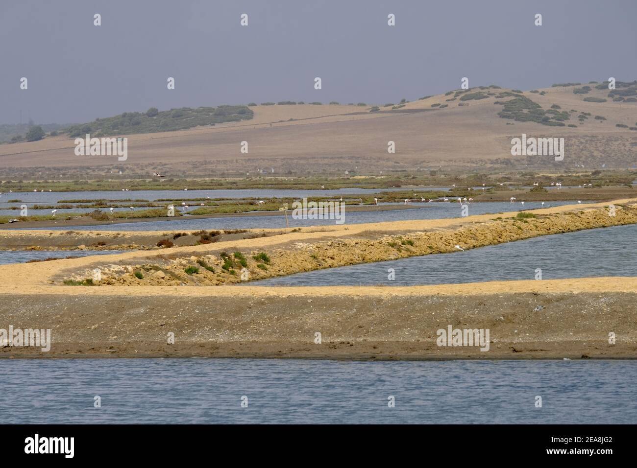 Passerelles publiques surélevées pour visiteurs et ornithologues à Barbate Saltpans, Barbate, province de Cadix, Andalousie, Espagne Banque D'Images