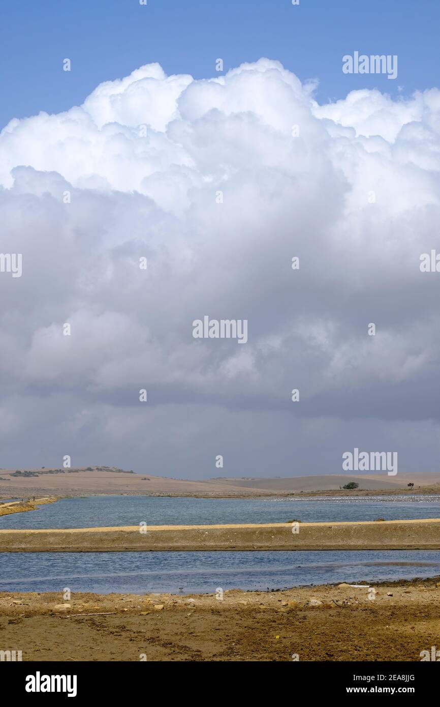 Passerelles publiques surélevées pour visiteurs et ornithologues à Barbate Saltpans, Barbate, province de Cadix, Andalousie, Espagne Banque D'Images