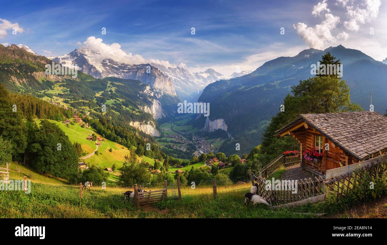 Vallée de Lauterbrunnen dans les Alpes Suisses vue depuis le village alpin de Wengen Banque D'Images
