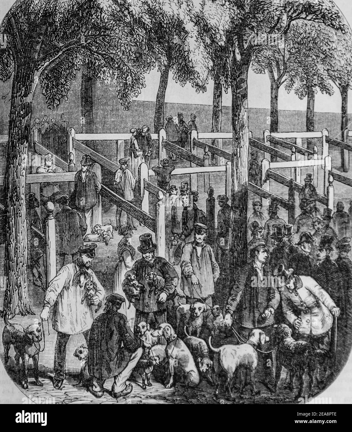 le marché aux chiens, tableau de paris par edmond texier, éditeur paulin et le chevalier 1852 Banque D'Images