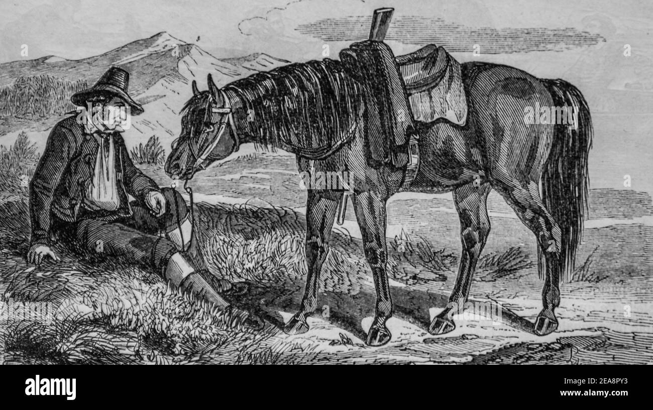 cheval corse, tableau de paris par edmond texier, éditeur paulin et le chevalier 1852 Banque D'Images