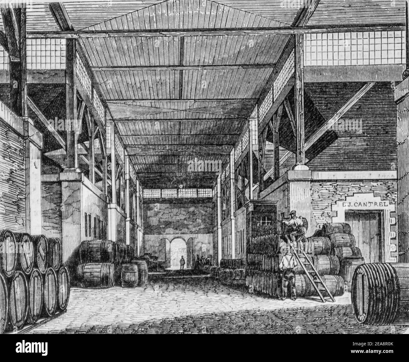 cellier a vins, tableau de paris par edmond texier, éditeur paulin et le chevalier 1852 Banque D'Images