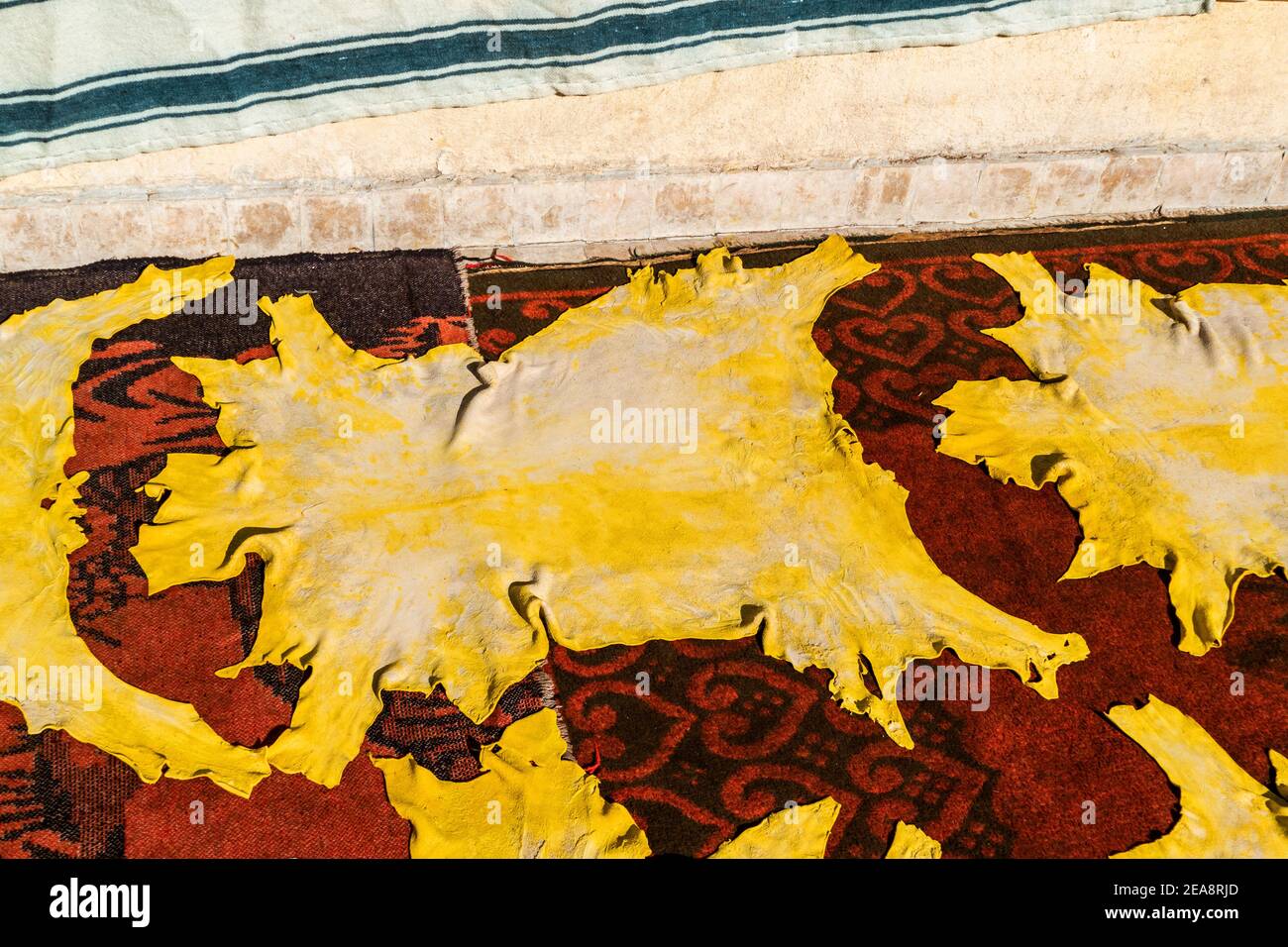 Peaux préparées séchant au soleil à Fès, Maroc Banque D'Images