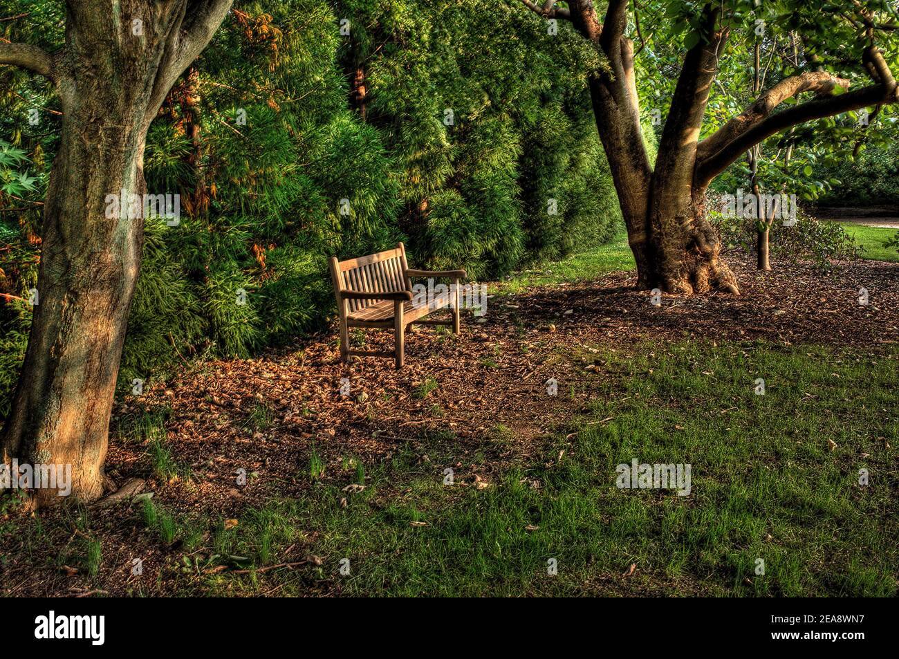 Plantation Fields, banc de jardin d'Oyster Bay Banque D'Images