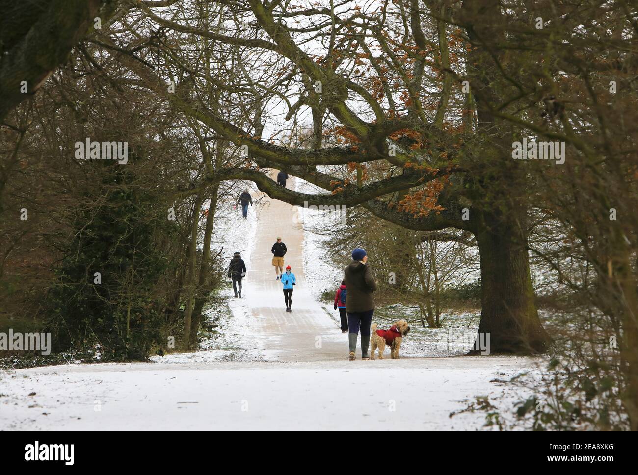 Londres, Royaume-Uni. 8 février 2021. Scènes hivernales sur la colline du Parlement, dans le nord de Londres, alors que Storm Darcy frappe la capitale avec la Bête de l'est 2, le 8 février 2021., au Royaume-Uni. Monica Wells/Alay Live News Banque D'Images