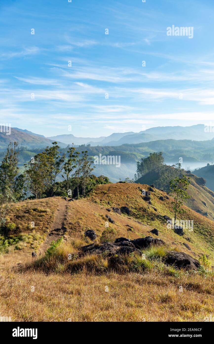 Sentiers battus sur la crête d'une gamme de collines avec des montagnes en arrière-plan, Munnar, Inde Banque D'Images