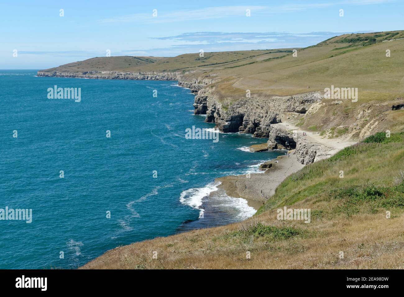 Vue le long de la côte du Dorset avec Dancing Ledge en premier plan et St. Alban’s Head en arrière-plan, près de Swanage, Dorset, Royaume-Uni, août. Banque D'Images