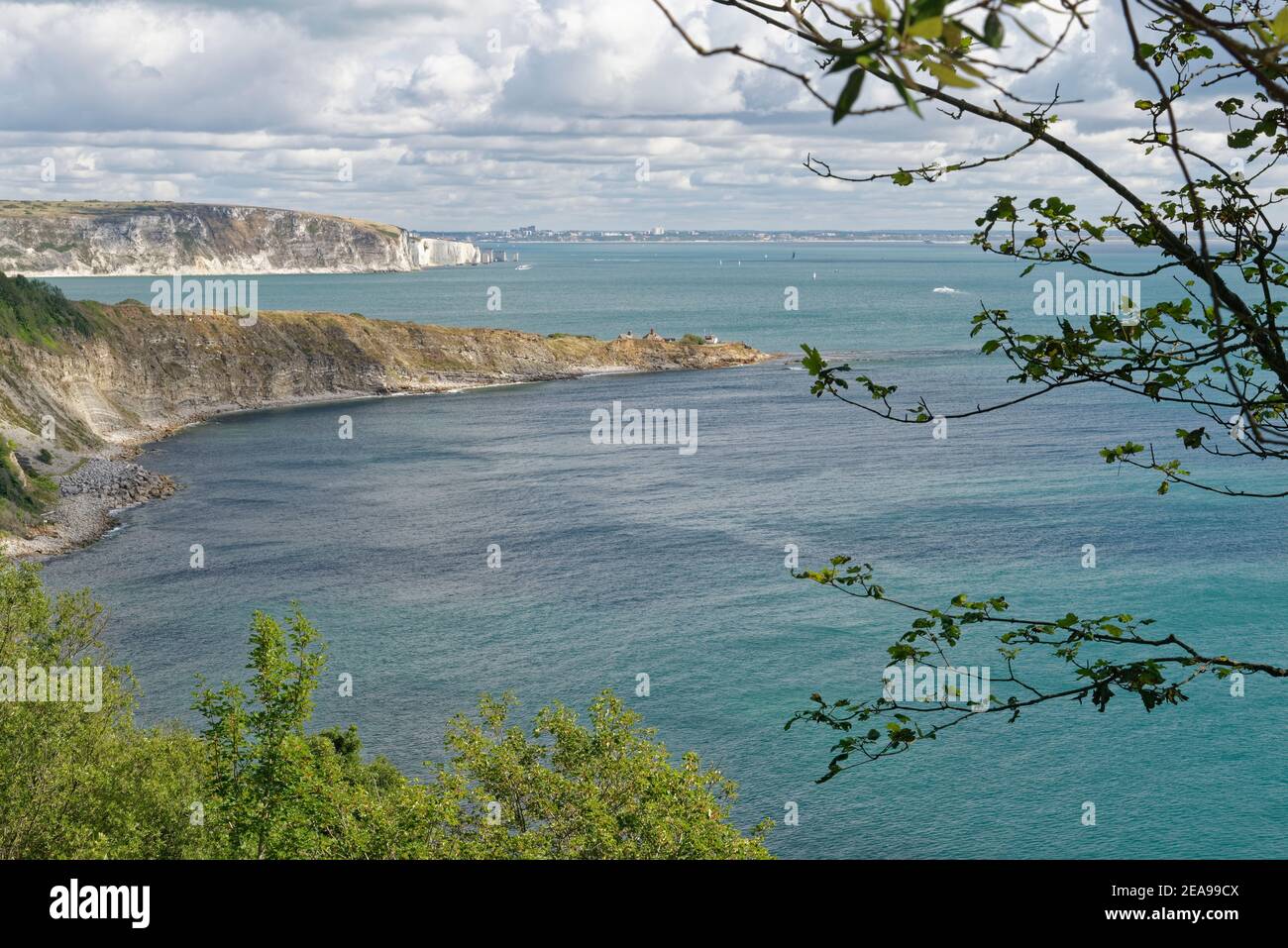 Vue d'ensemble de Durlston Bay et Peverill point depuis Durlston Head, avec Ballard Down et Old Harry's Rocks en arrière-plan, Swanage, Dorset, Royaume-Uni, août Banque D'Images