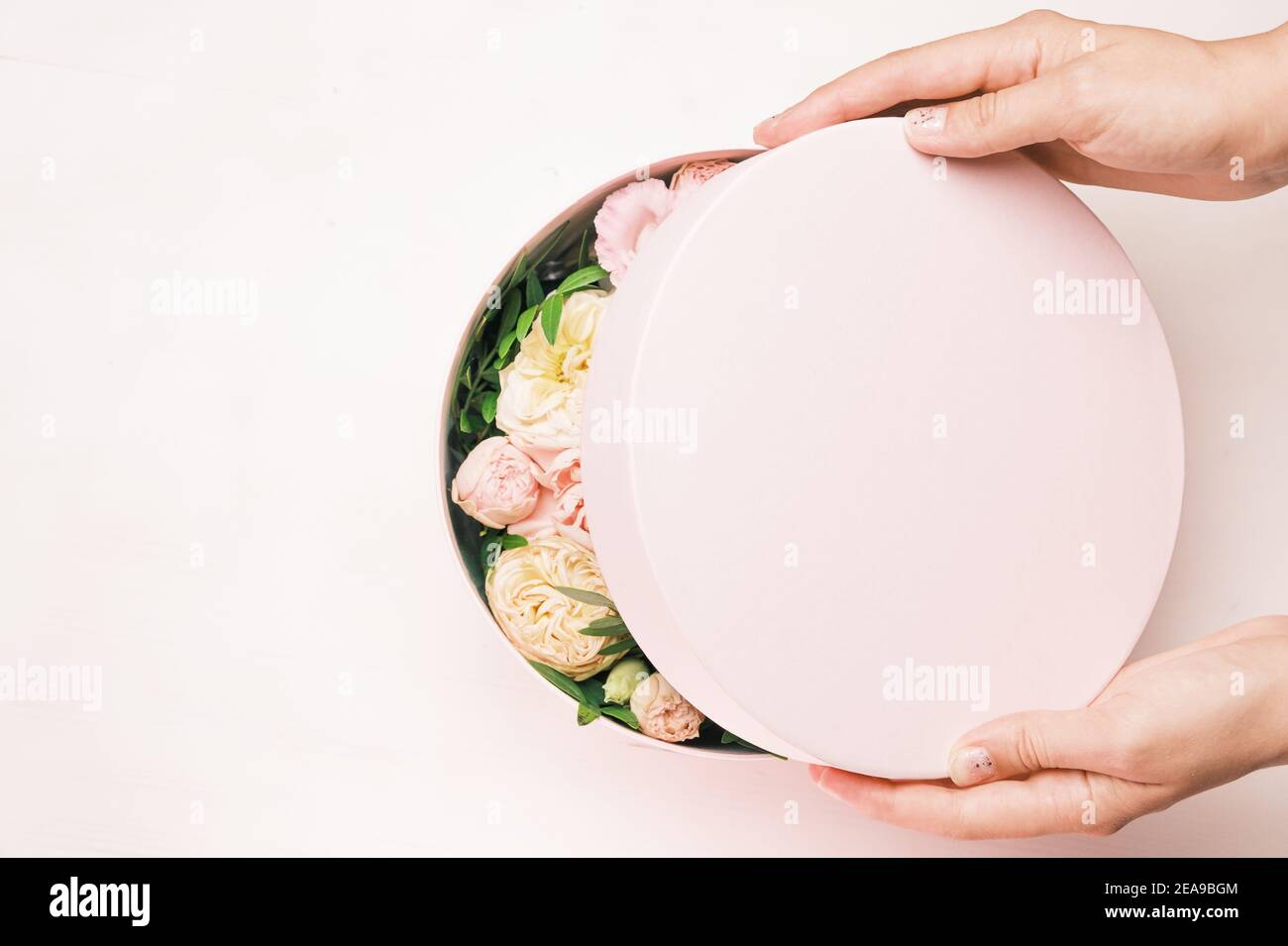 Gros plan les mains des femmes ouvrant les boîtes-cadeaux avec des fleurs fraîches. Le printemps arrive, journée internationale des femmes, bonne Saint Valentin, 8 mars, fête des mères Banque D'Images