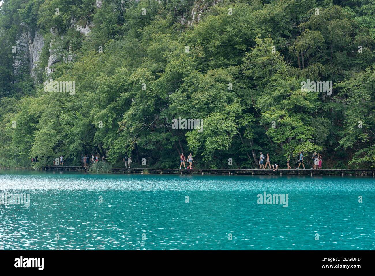 Plitvice, Croatie - 11 août 2020: Les touristes marchent au bord d'un lac couleur aqua Banque D'Images