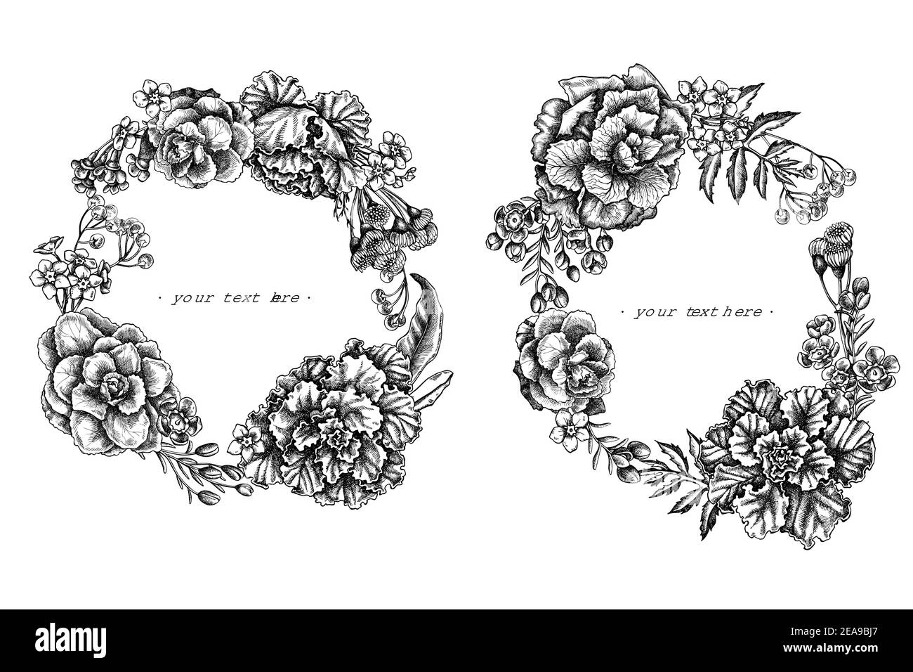 Couronne florale de fleur de cire noire et blanche, oubliez-moi pas fleur, tansy, ardisia, brassica, chou décoratif Illustration de Vecteur
