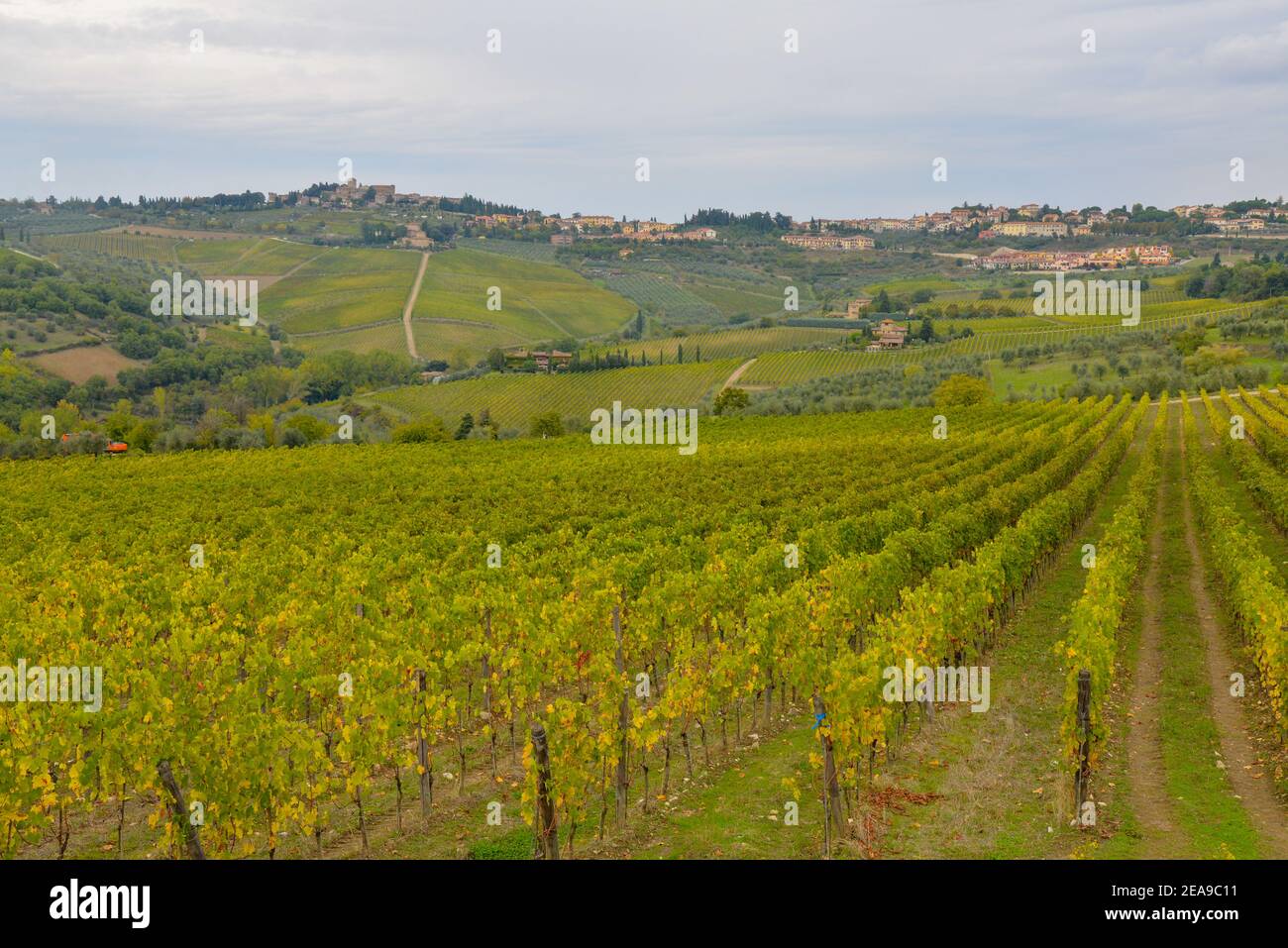 Paysage près de Florence en Toscane, Italie Banque D'Images