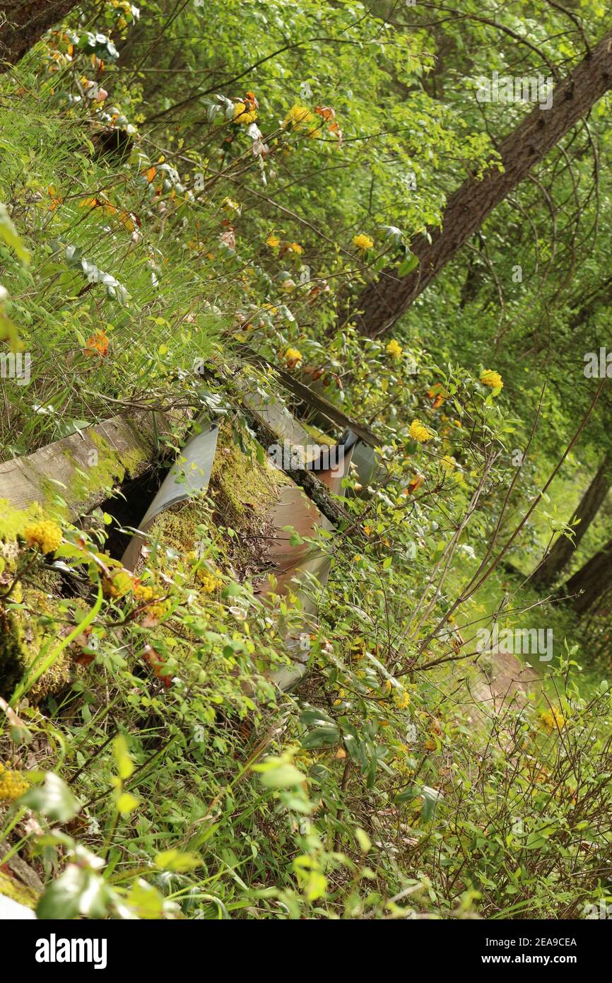 vieux bac à eau dans les bois Banque D'Images
