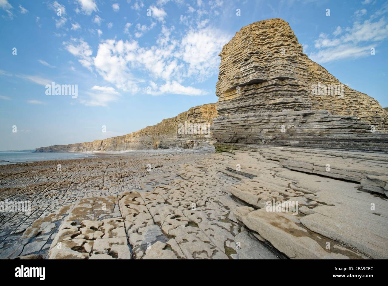 Falaise Sphinx Rock à Nash point avec des couches de pierres calcaires et de mudstone et un pavé à vagues, Glamorgan Heritage Coast, pays de Galles, Royaume-Uni. Banque D'Images