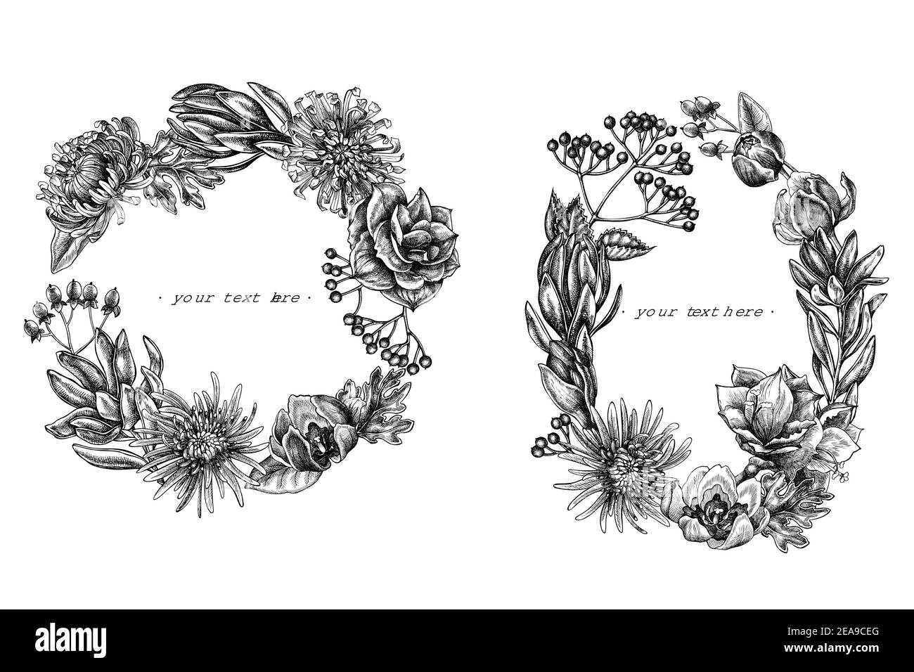 Couronne florale de viburnum noir et blanc, hypericum, tulipe, aster, leucadendron, amaryllis Illustration de Vecteur