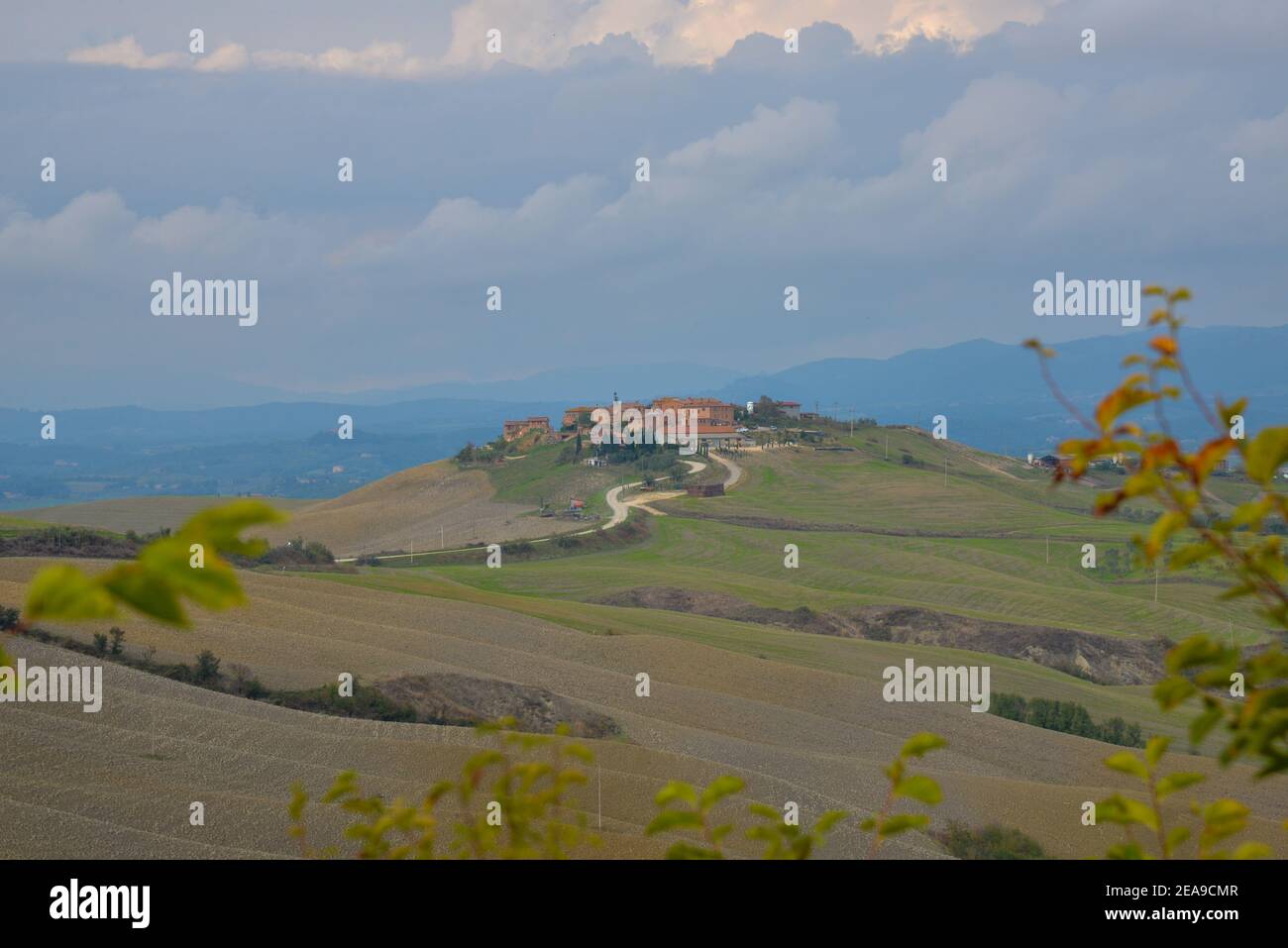 Paysage de Toscane près de Sienne en Italie Banque D'Images