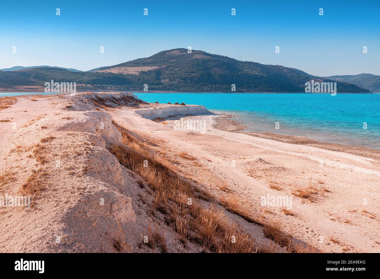 Vue panoramique sur la plage de sable blanc avec buissons d'herbe sur