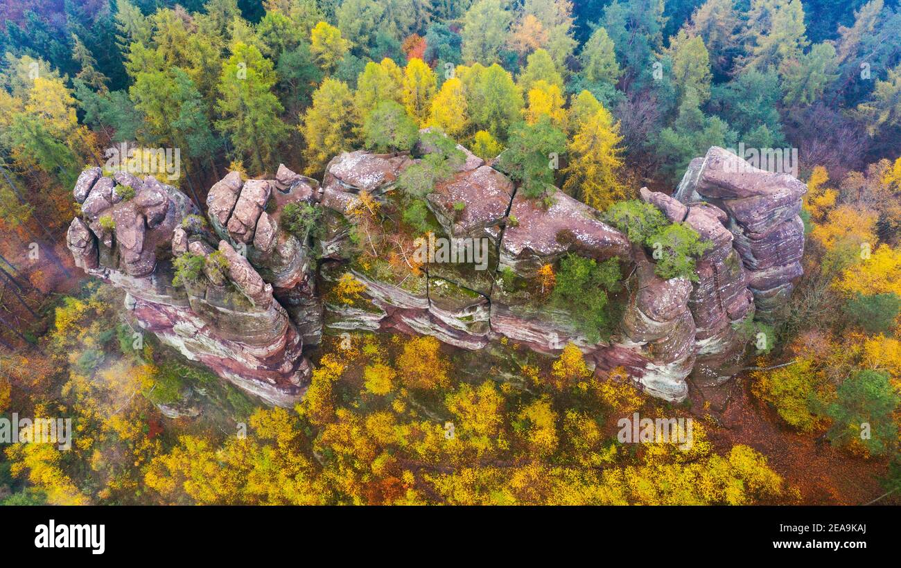 Altfels dans la vallée de Pinschbach près de Kastel-Staadt, vallée de Saar, Rhénanie-Palatinat, Allemagne Banque D'Images