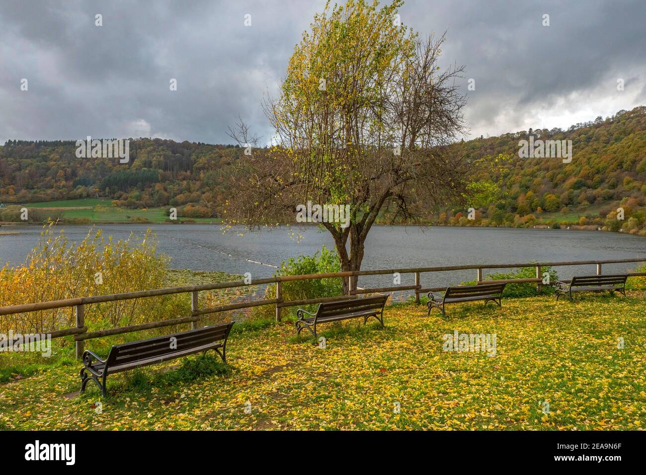 Meerfelder Maar près de Meerfeld, Vulkaneifel, Eifel, Rhénanie-Palatinat, Allemagne Banque D'Images