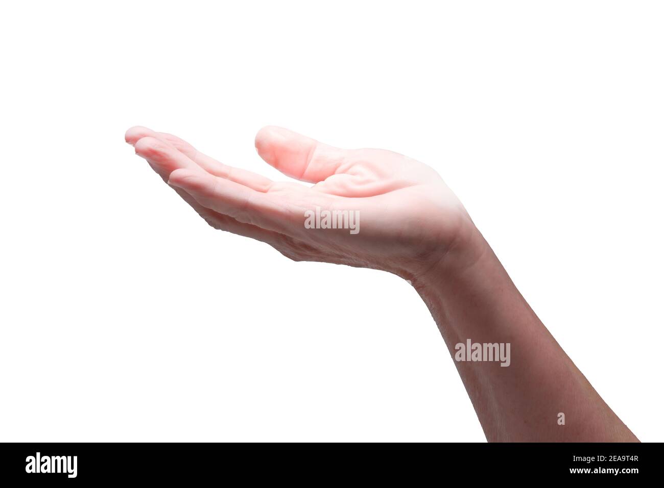 Hand Open Palm Up Banque D Image Et Photos Alamy Hand Open Palm Up Banque D Image Et Photos Alamy