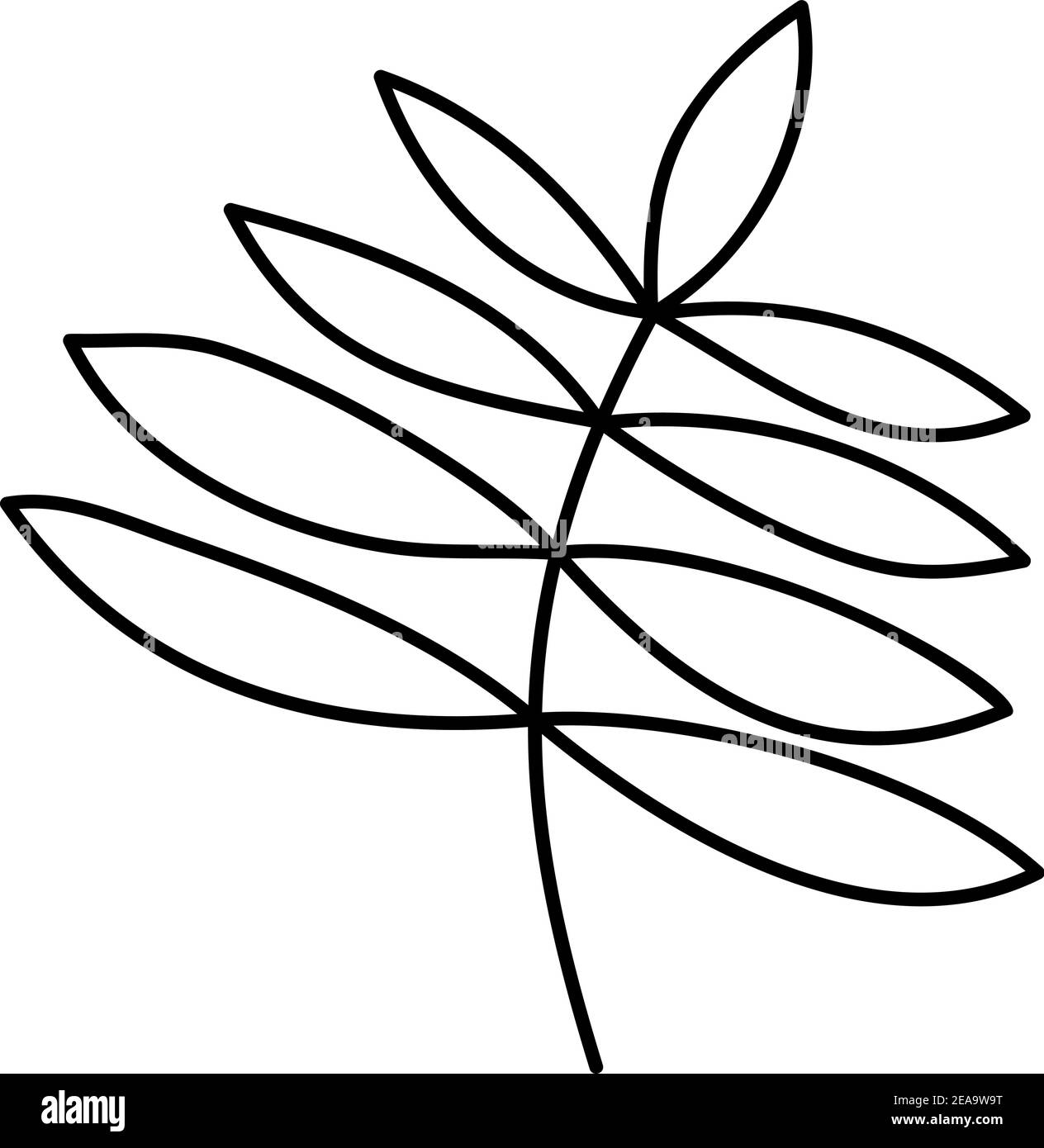 Icône de ligne vectorielle Spring Leaf Outline. Doodle Spring concept minimaliste style Illustration pour la conception de livre pour enfants ou web. Élément du logo de l'arbre Illustration de Vecteur