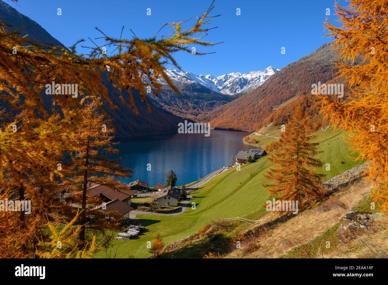 Italie, Trentin-Tyrol du Sud, Haut-Adige, Tyrol du Sud, Vinschgau, Alpes de l'Ötztal, Schnalstal, Schnals, Val Senales, réservoir de Vernagt, automne Banque D'Images