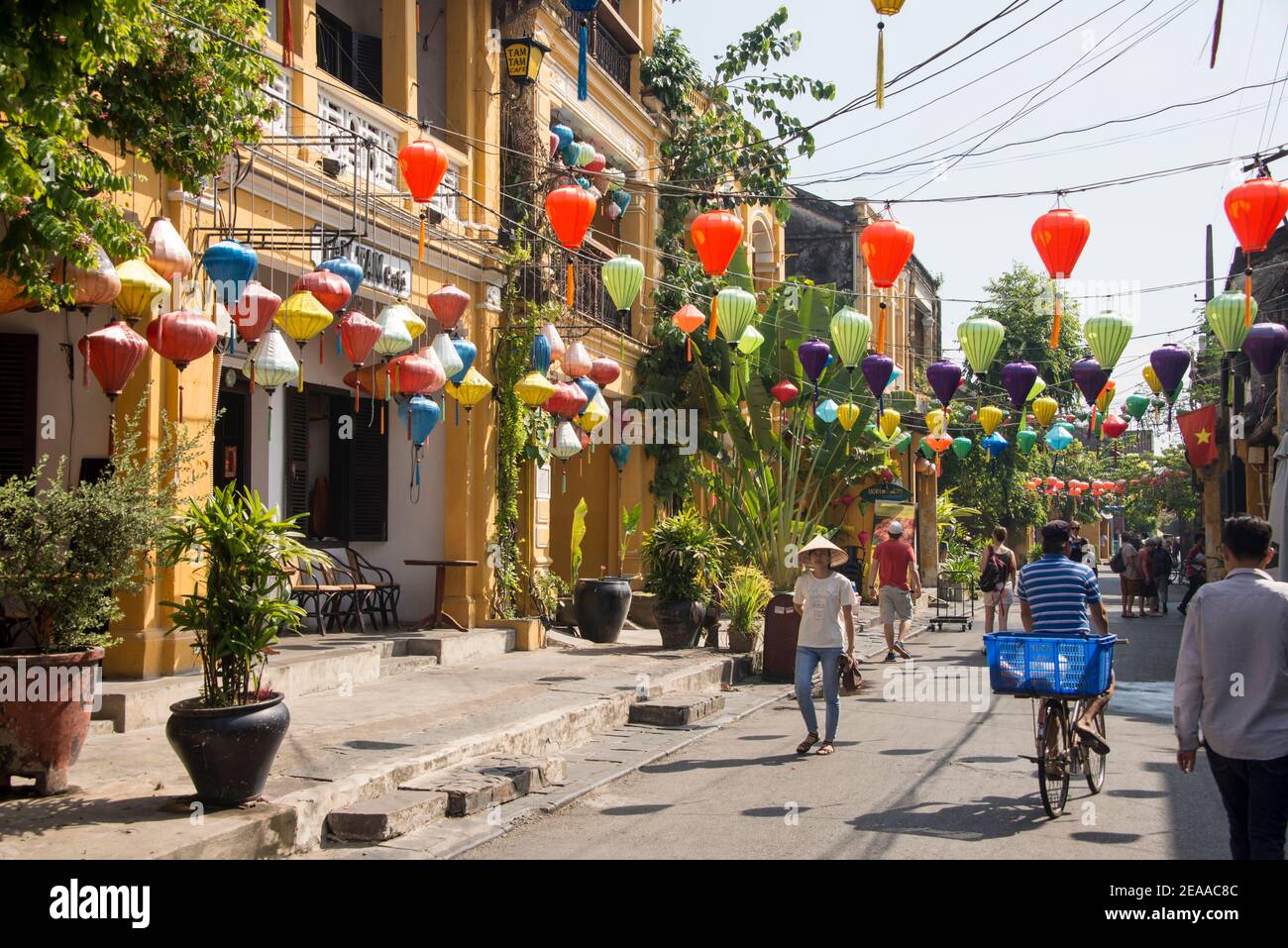 Rue dans la journée avec des lanternes chinoises, Hoi an, Vietnam Banque D'Images