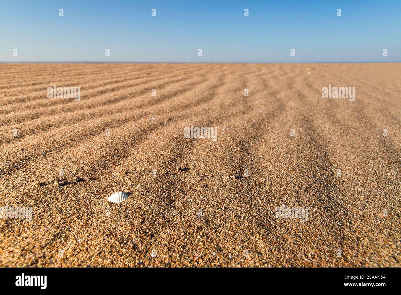 Belle plage de sable vide ou texture désertique. Banque D'Images