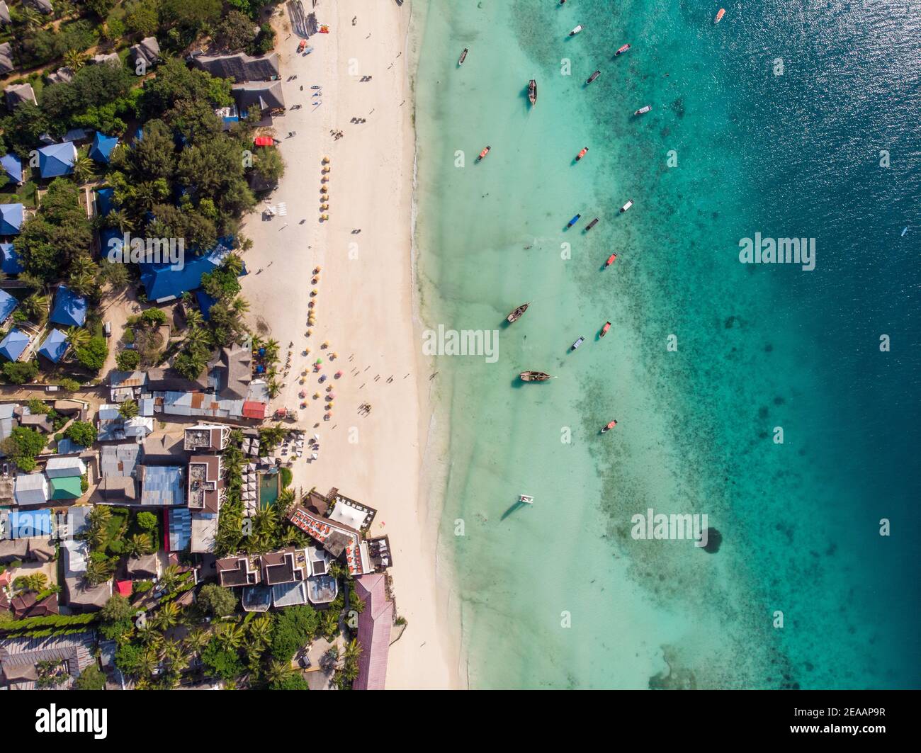 Vue aérienne sur la piscine, parasols, plage de sable avec palmiers verts. Côte de l'océan Indien au coucher du soleil en été. Zanzibar, Afrique. Vue de dessus. Paysage Banque D'Images
