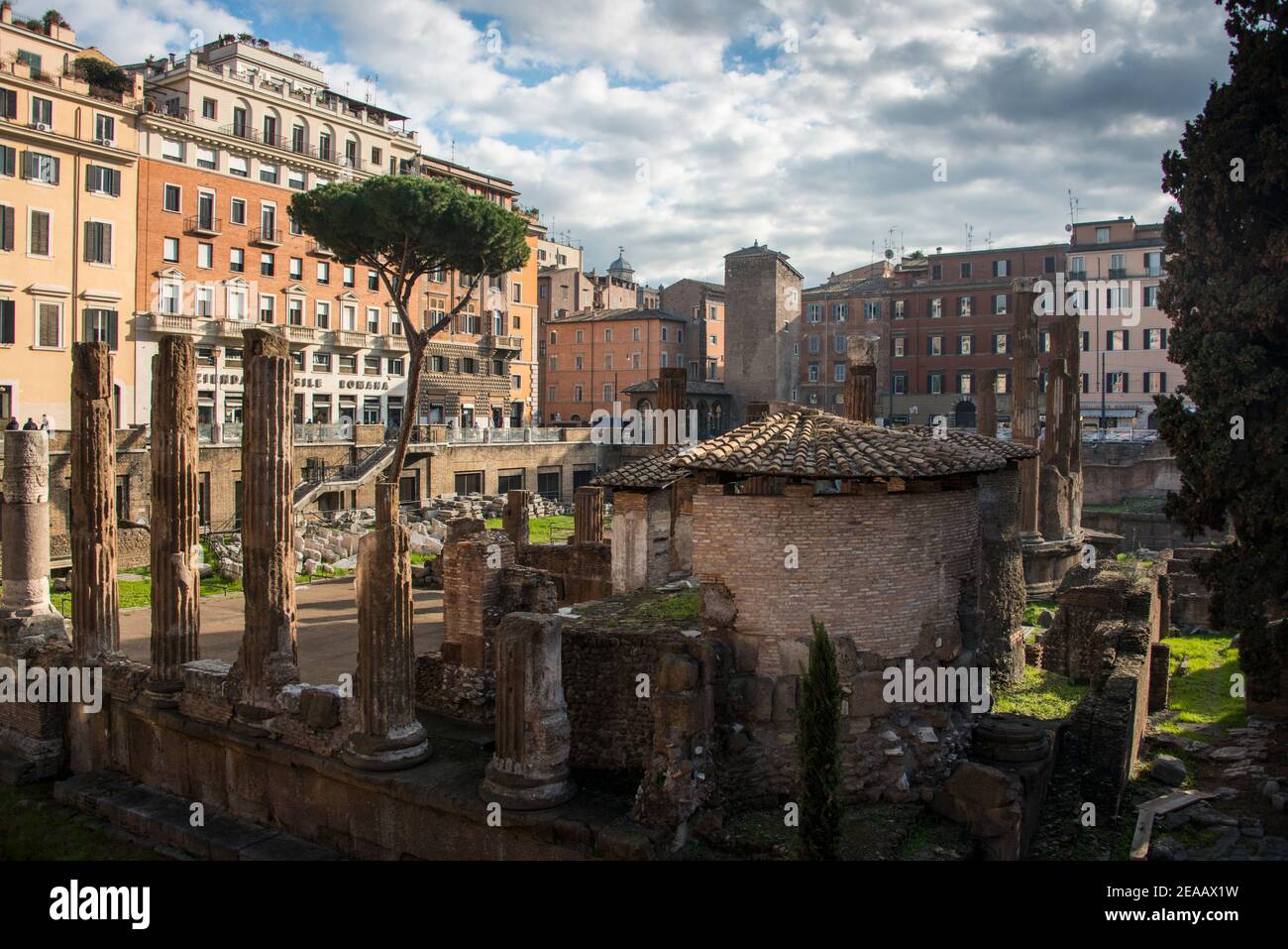 Largo di Torre Argentina, demeure d'une colonie de chats, Rome Banque D'Images