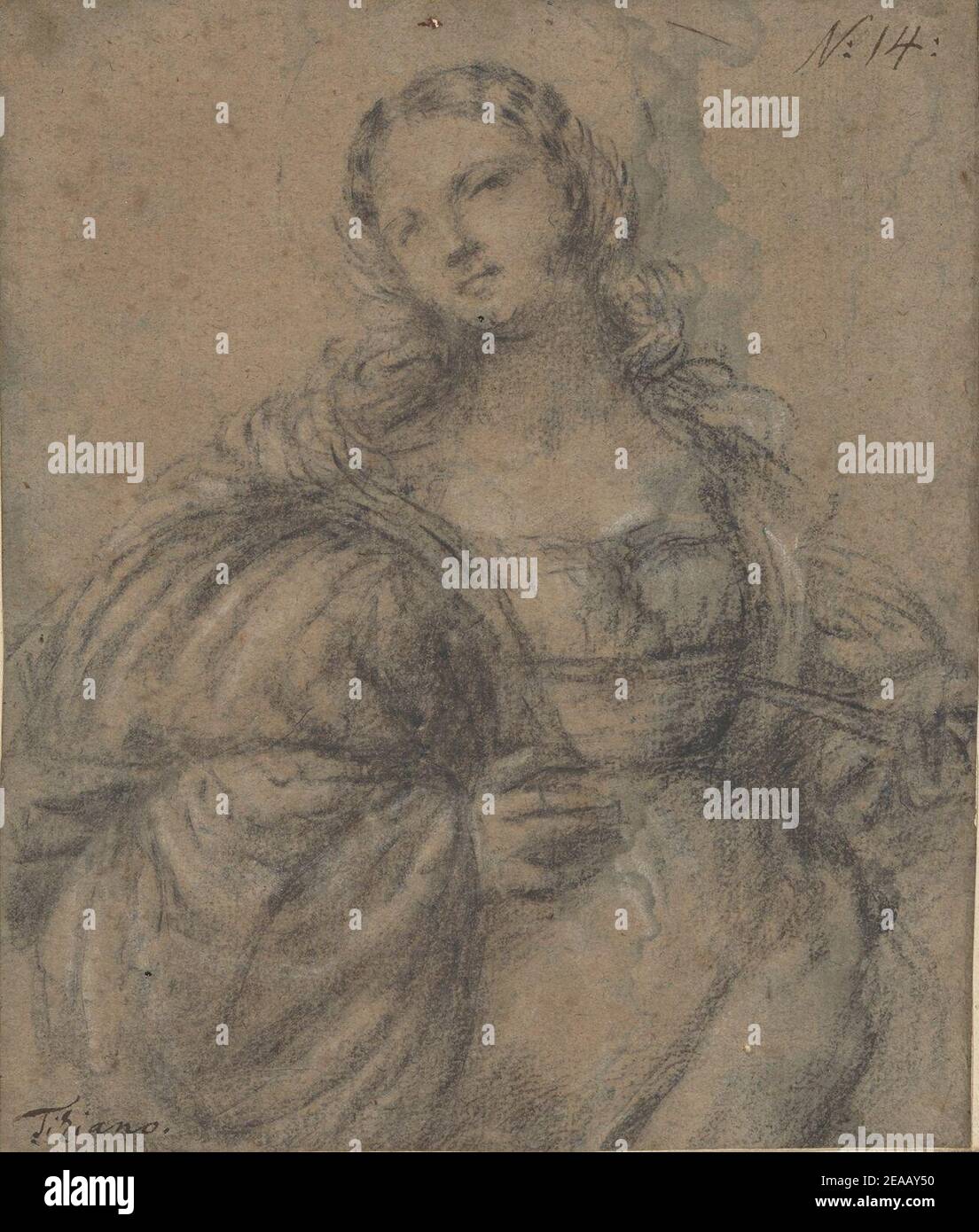 Lucretia par Jacopo Negretti (connu sous le nom de Palma Vecchio), craie noire. Banque D'Images