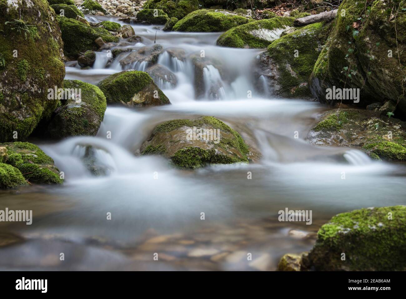 Ruisseau de montagne avec mousse, Jura, Suisse Banque D'Images