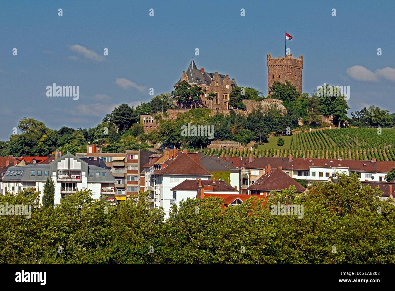 Bingen am Rhein, panorama de la ville avec le château de Klopp, Rhénanie-Palatinat, Allemagne Banque D'Images