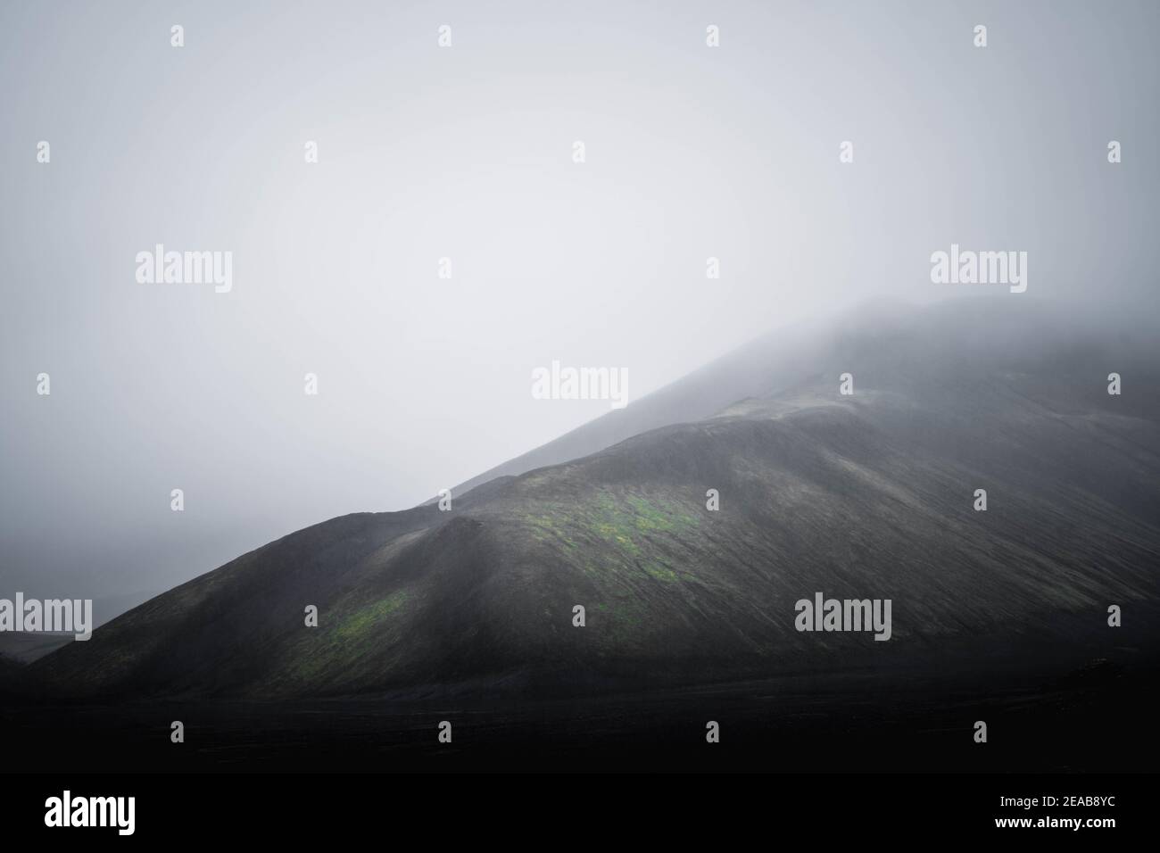 Islande, Suðurland, Landmannalaugar, mousse, randonnée, Vert, Noir, pluie, Moody, brouillard Banque D'Images