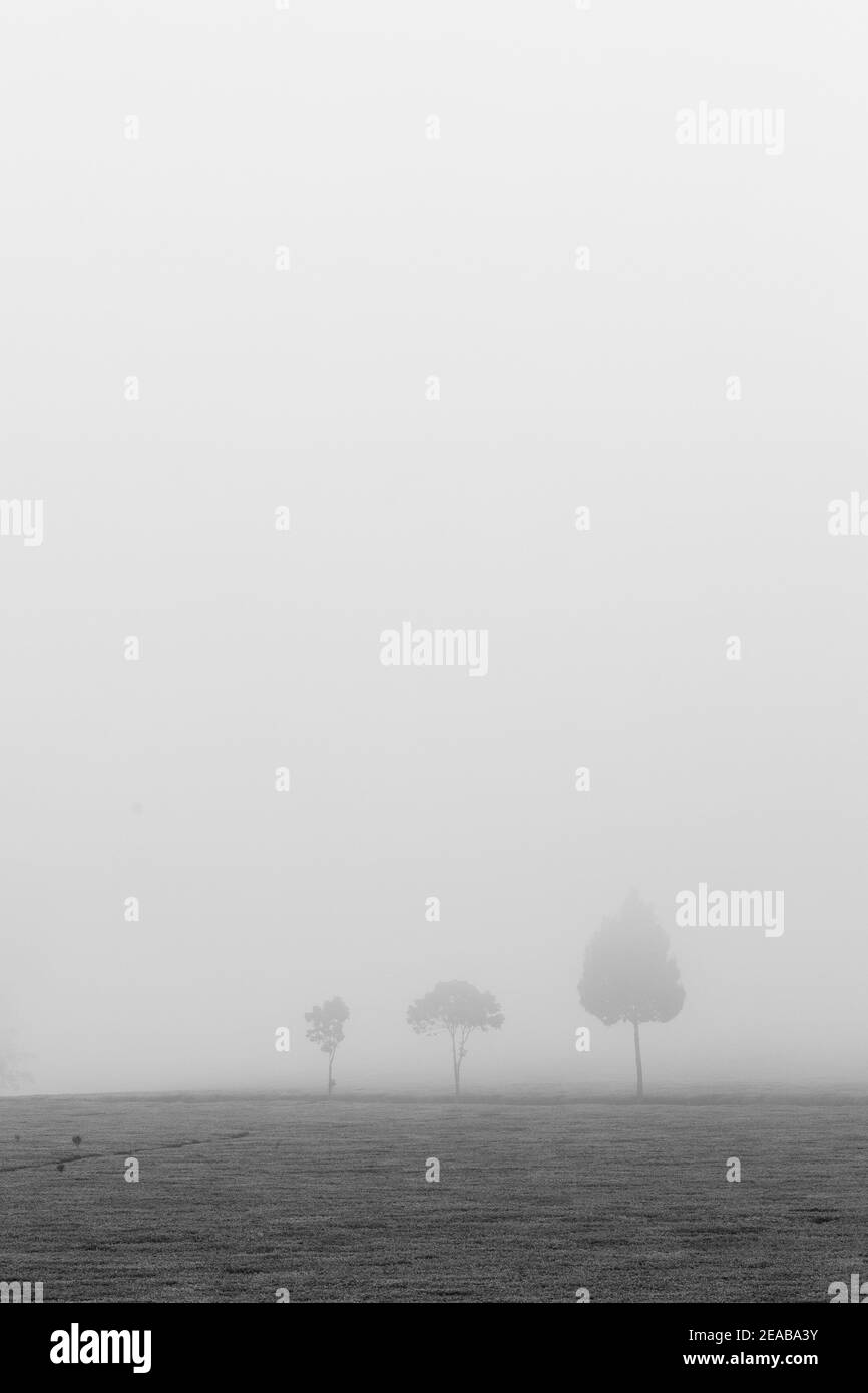 Images de voyage Lifestyle Banque D'Images