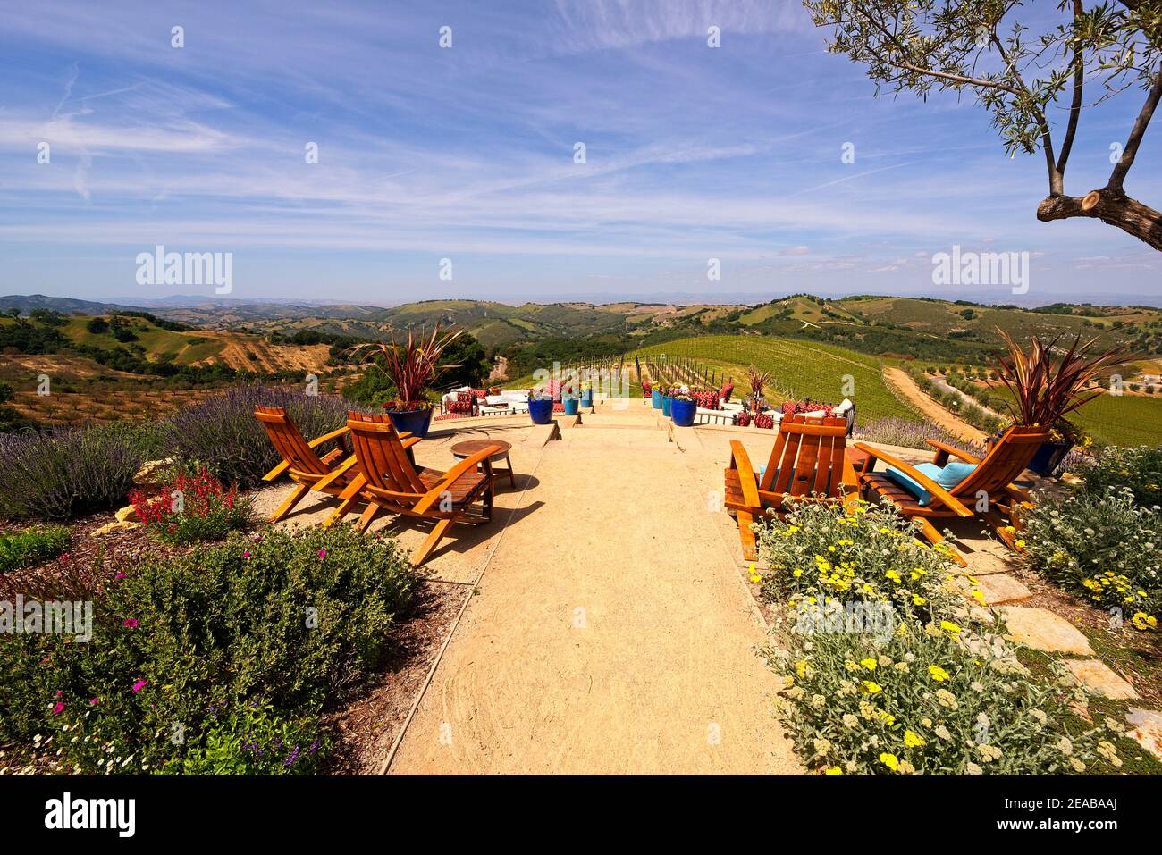 California Wine Country Banque D'Images