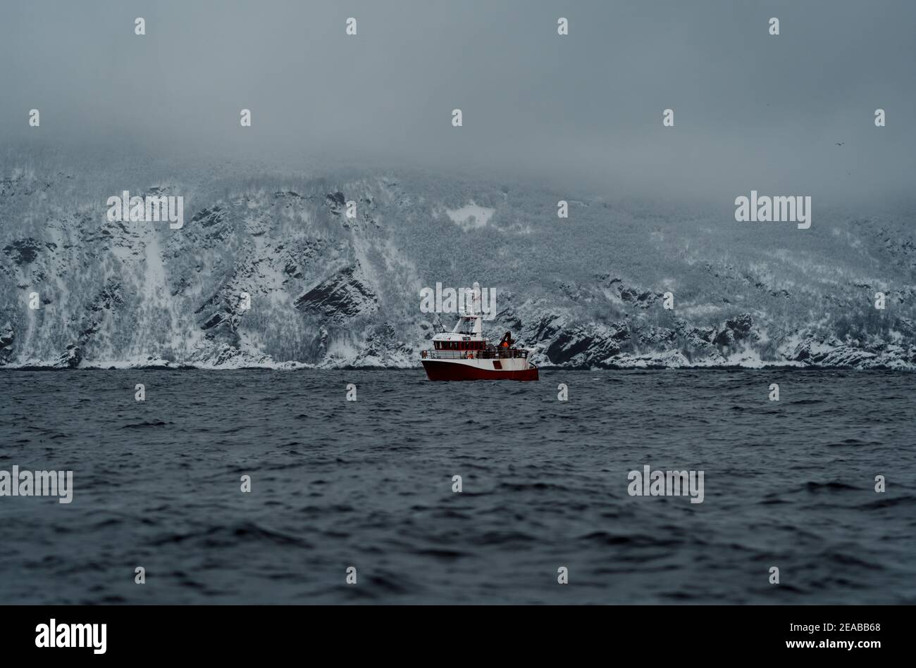 Norvège, Nord-Norge, Skjervoy hiver, Mer, ciel, coucher de soleil, montagnes, bateau, pêche Banque D'Images