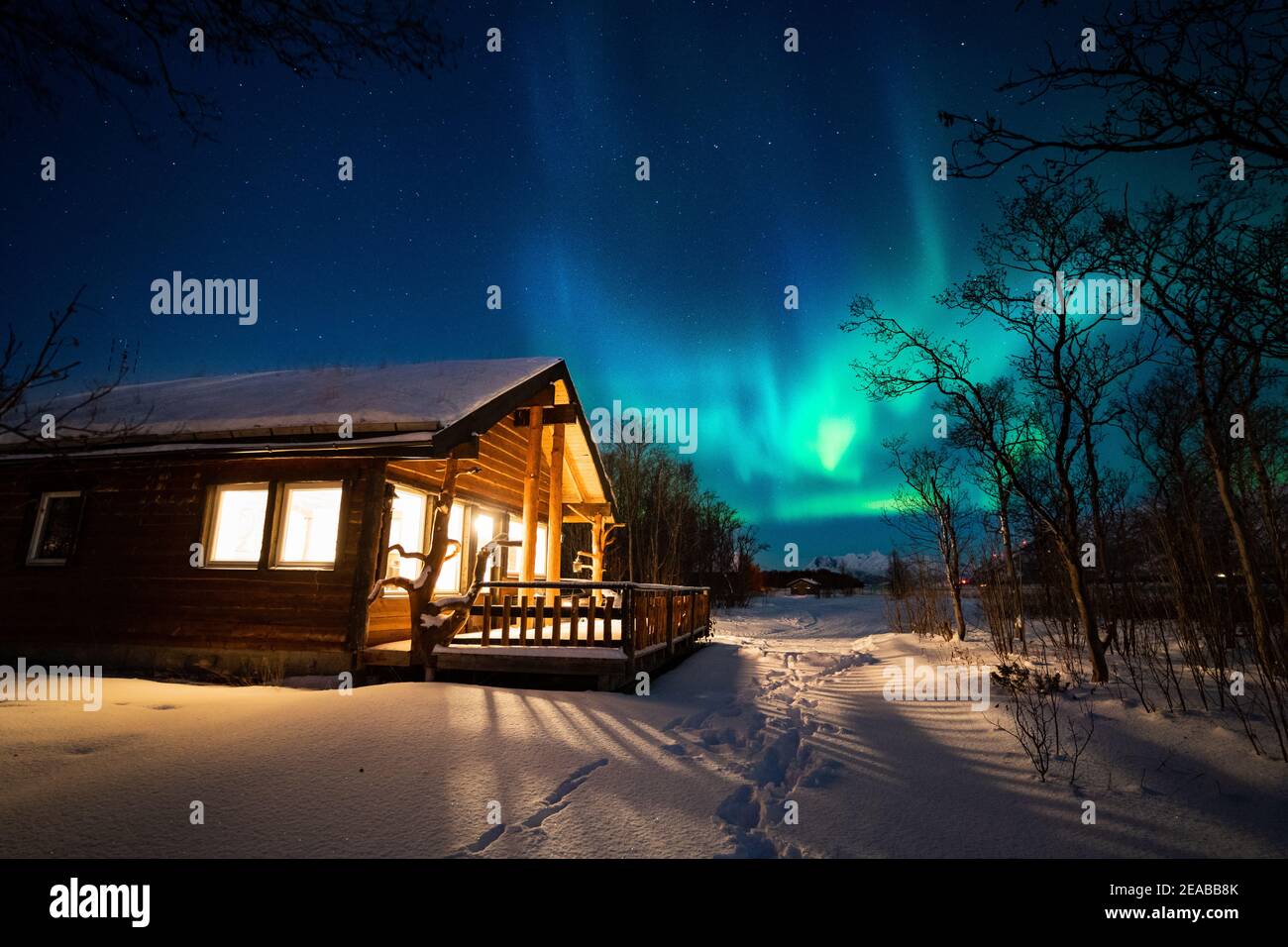 Norvège, Nord-Norge, Storslett, hiver, Bois, cabine, lumière, nuit, aurore, aurores boréales, neige Banque D'Images