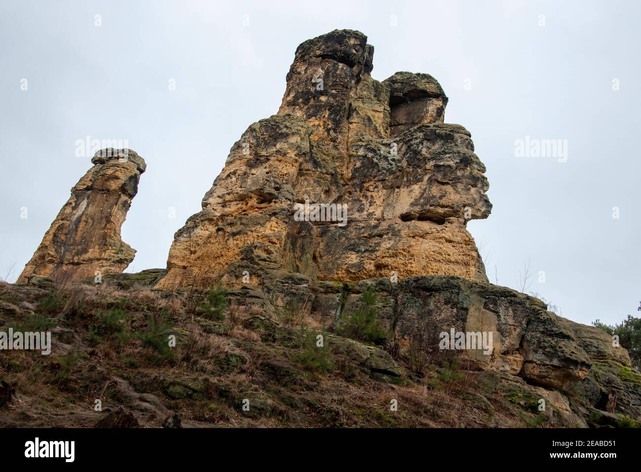 Allemagne, Saxe-Anhalt, Halberstadt, falaises à cinq doigts dans le Klusberge, chaîne de montagnes dans le Vorharz avec grottes de grès. Banque D'Images