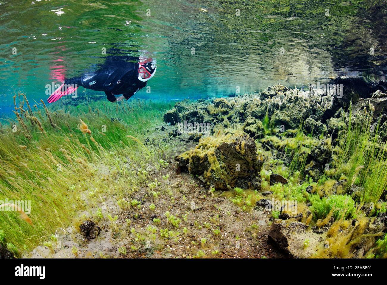 Pot de printemps de la petite rivière Litla dans le nord de l'Islande, plongeurs dans la rivière cristalline, géothermiquement réchauffée, Akureyri, nord de l'Islande Banque D'Images