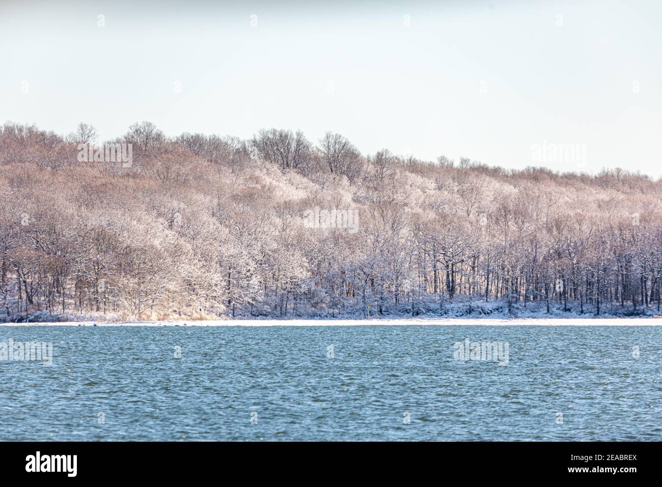Paysage d'hiver de la réserve de Mashomack, Shelter Island, NY Banque D'Images