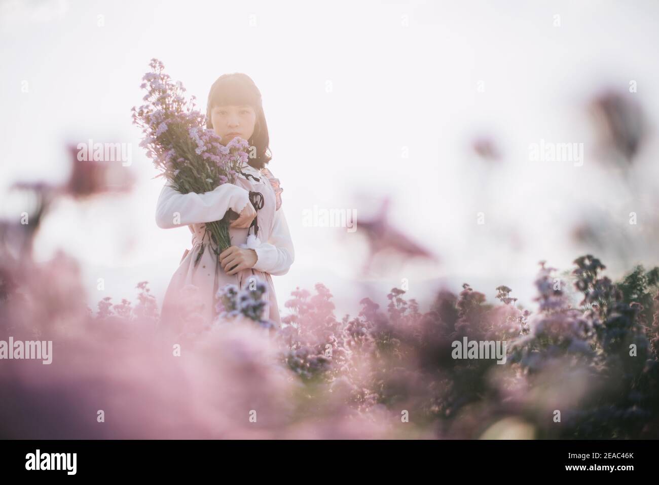 Portrait de fille asiatique avec fond de fleurs violettes Banque D'Images