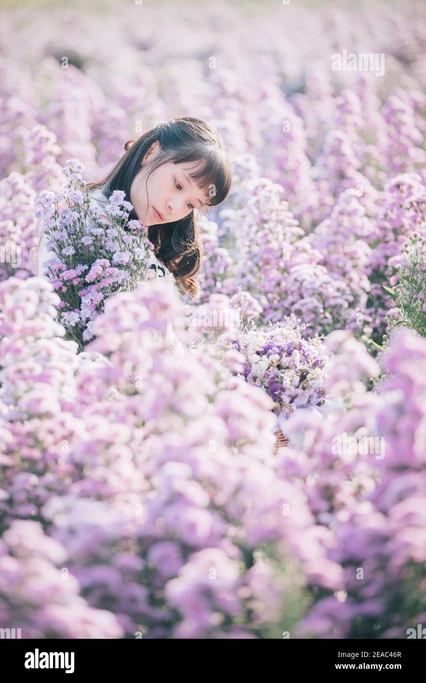 Portrait de fille asiatique avec fond de fleurs violettes Banque D'Images