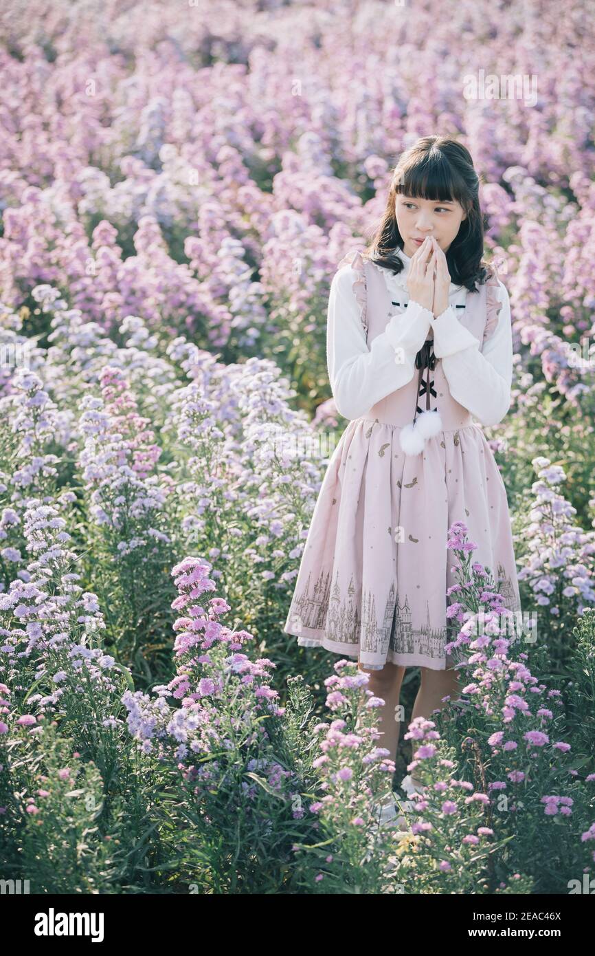 Portrait de fille asiatique avec fond de fleurs violettes Banque D'Images