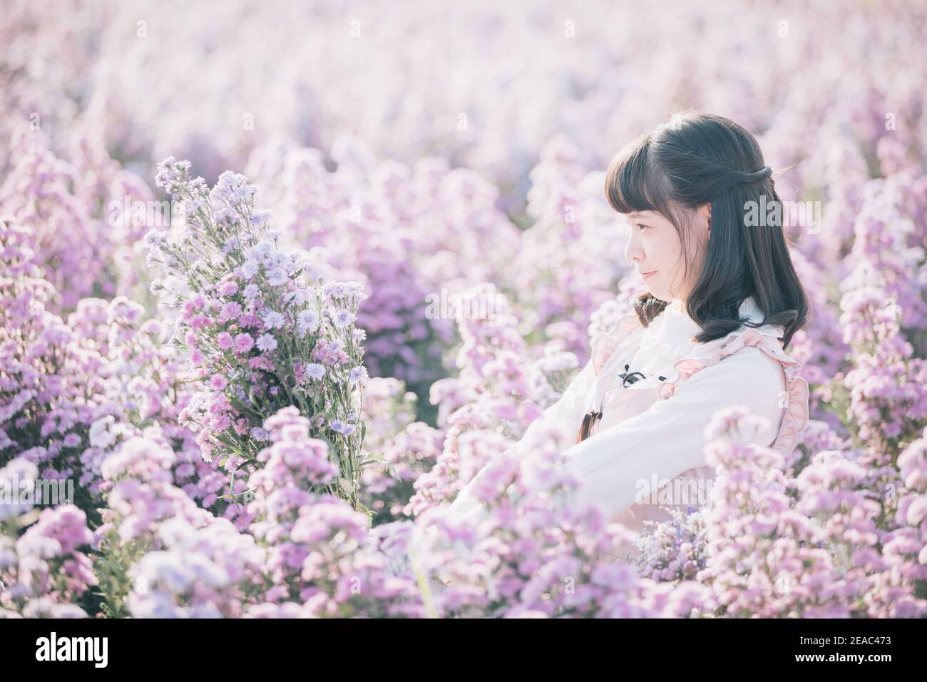 Portrait de fille asiatique avec fond de fleurs violettes Banque D'Images