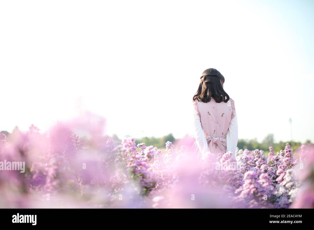 Portrait de fille asiatique avec fond de fleurs violettes Banque D'Images