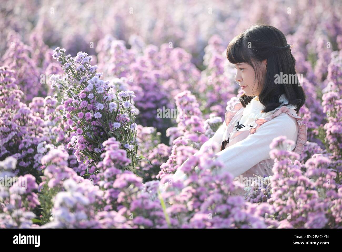 Portrait de fille asiatique avec fond de fleurs violettes Banque D'Images