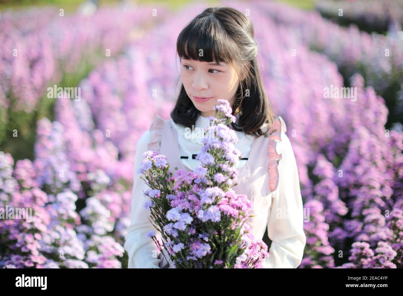 Portrait de fille asiatique avec fond de fleurs violettes Banque D'Images